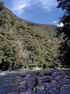 Entlang des Haast River erreicht man die Westkste.