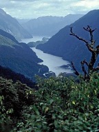 Der Doubtful Sound liegt jenseits des Lake Manapouri.