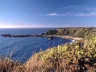Der Cape Foulwind Walkway fhrt zu einer Seehundkolonie.